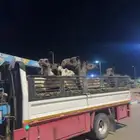 دنا هيدروليك