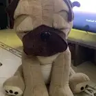 دمية الكلب البوليفارد