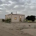 دور في طريب للإيجار