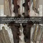 هدرز دوج R T خالي من اللحام و التنسيم