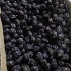 تمر عجوه حقت المدينه المنوره نضيفه