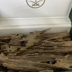 عود هندي ناجالاند. فاخر ونظيف ملكي. بسعر عرض.