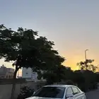 افالون 2011