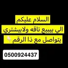 قروب مزاد ل اهل البل الي عنده شي يعرضه يتواصل
