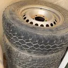 جنوط هلل مع كفرات دنلوب