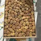 تمر سكري مفتل ( تم نفاذ الكميه المعروضه )