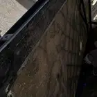 باب