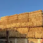 تبن بر صافي