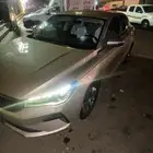 جلي ام جراند 2023