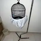 قفص طيور