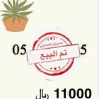 ارقام مميزة STC للبيع
