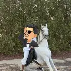 حصان اصفر شعبي فحل
