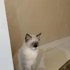 المنطقه الجنوبيه خميس مشيط