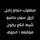 مطلوب حمام زاجل سوبر جامبو من20جوز وتحت او سباق