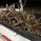 على حسب الطلب يتم التوفير مستورد طيب