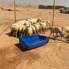 للبيع رخال رفيديات 75 بلدي تم البيع