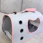 اغراض قطط