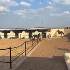 إعلان ايواء ب اسعار مميزه