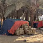 تمر برني عادي الحجر