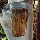 جلد حنش الكوبرا يوجد 2 منه