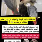 طائر ببغاء كاسكو أفريقي مفقود ضايع