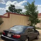مكسيما لوحه شبه مميزه