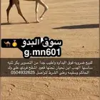للبيع ضروبه فوق البداوه واطيب من التصوري لتواصل