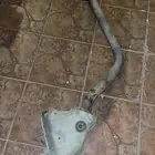 شكمان ددسن كامل وكاله