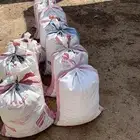 تمر أعلاف نظيف كميات الموقع الكهيفية