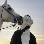 عسف خيل المدينه المنوره