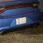 لوحه مميزه للبيع
