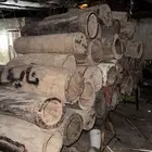 اعواد نحل بلدي