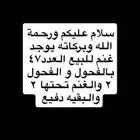 غنم للبيع