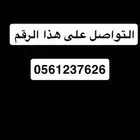ابحث عن شقه ب الحوية او الحلقه