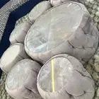 طاولات تفصيل نظيفه للبيع