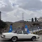 بيوك مجدد