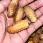 تمر مواكل نجران