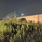 شجر سدر بلدي عبري منطقة الرياض
