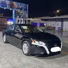 التيما 2024