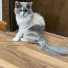 عمرها خمس شهور