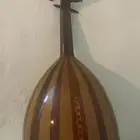 عود مصري نضيف