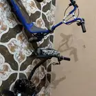 سكوترين للبيع