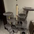 الرياض الياسمين