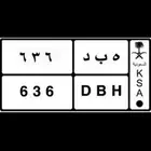 لوحه للبيع على السوم (ه ب د - 6 3 6)