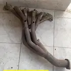 هدرز فتك قصه امريكان ريسنق