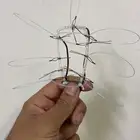 شبك صيد الصقور