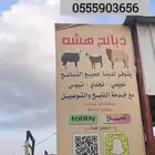 ذبائح متوفر تابي وتمارا