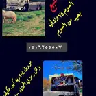 سطحه سوبر جابو 2014