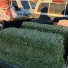 اعلاف بسيطا