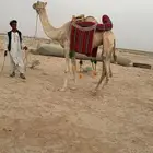 رحول اباعر